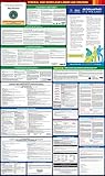 2017 Maryland State and Federal All-in-one Labor Law Poster - English