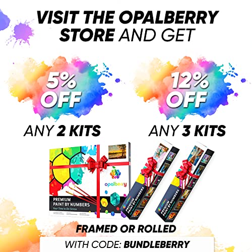 Opalberry Paint by Numbers for Adults 16x20" WrinkleFree Rolled