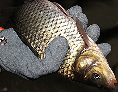 TOPIND Angelhandschuhe Jagdhandschuh Wasserdicht Anti-Schnitt Handschuh PE Draht gewebt Latex Fisch Fang Handschuhe mit… – Bild 5