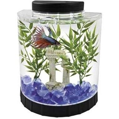 Tetra LED Half Moon Betta Aquarium, Betta Fish Tank (29049)