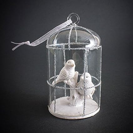 En Verre Avec Décoration Oiseau Blanc En Cage à Oiseaux Les