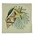 CJESLNA 4 Pack Ocean Theme Squre Cotton Linen Throw Pillow Cushion Cover Case Conch Shell 17