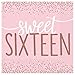 Sweet Sixteen 16 Coming of Age Birthday Party Supplies Bundle Pack for 16 Guests (Plus Party Planning Checklist by Mikes Super Store)9