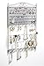 Mango Steam Deluxe Wall Mounted Closet/Wardrobe Display Hanger Organizer for Jewelry & Earrings with Hooks & Bar for Necklaces, Bracelets, Accessories - Silver