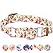Blueberry Pet Spring Scent Inspired Rose Print Martingale Safety Training Dog Collar, Ivory, Small, Heavy Duty Adjustable Collars for Dogs