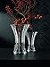 Nachtmann Saphir Collection, Crystal Vase, 8.3-Inch, Decorative Small Glass Vase for Flowers, Home Décor, and Centerpieces, Makes a Great Wedding, or Housewarming Gift, Clear