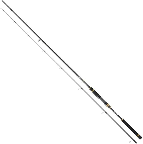 canne daiwa black gold seabass