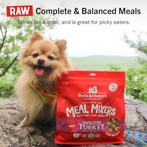 STELLA & CHEWY’S FREEZE-DRIED RAW TANTALIZING TURKEY MEAL MIXERS- DOG FOOD TOPPER AND MIXER – MADE WITH 95% CAGE-FREE TURKEY, ORGANS & BONE – PERFECT FOR PICKY EATERS – GRAIN-FREE – 3.5 OZ