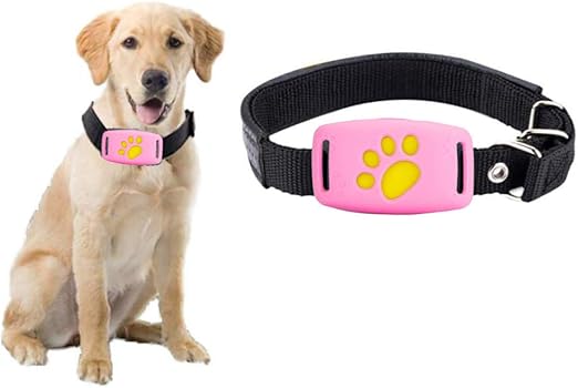 dog gps system