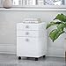 Bush Business Furniture Mobile File Cabinet with Satin Silver Hardware | Echo Collection Under Desk Filing Drawer Storage for Home Office or Professional | 16Wx16Lx24H