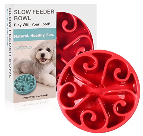 Siensync Slow Feeder Dog Bowl Non Slip Puzzle Bowl Fun Feeder