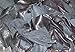REED Scraps - 2 Pound Leather from Garment Cutting Mostly Black Color, 2 lb.
