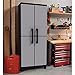 2 Door Storage Cabinet, Finish: Black and gray