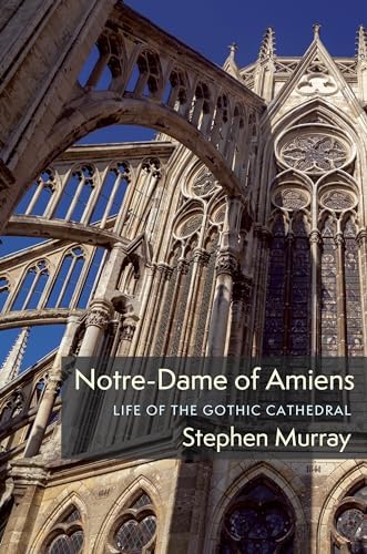 Amazon.com: High Gothic the Classic Cathedrals of Chartres, Reims