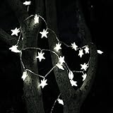 TINNZTES 4m/13ft 40 LED Star Light Fairy String Light for Christmas XMAX Weddings Family Festival School Party (Cool White)
