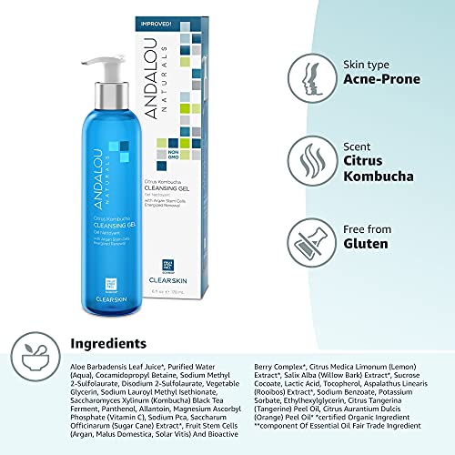 Andalou Naturals Cleansing Gel, Citrus Kombucha, 6 Fl Oz