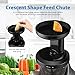 Flexzion Cold Press Juicer Machine - Masticating Juicer Slow Juice Extractor Maker Electric Juicing Vertical Stand for Fruit, Vegetable, Greens, Wheat Grass & More with Big Cup & Juicing Bowl