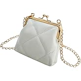 Yurtziru 1Pcs Women Kiss Lock Purses and Handbags Vintage Purses Wallet Crossbody Bag Handbag