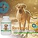 VetSmart Advanced Hip and Joint Complex with MSM - Provides Relief of Dog Joint Pain - 100% Natural Pain Relief - (1 bottle = 120 ct)