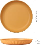 CSYY 6pcs Unbreakable Dinner Plates Set 9 Inch Plastic Deep Plates view 3
