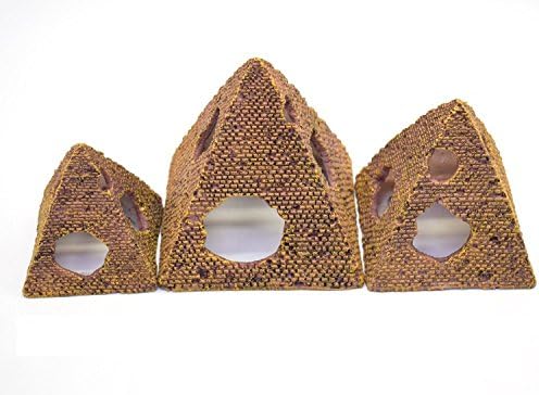 Gold butterfly@ Decorative Aquarium Stones