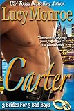 Carter (3 Brides for 3 Bad Boys)