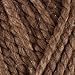 Lion Brand Wool-Ease Thick & Quick Yarn (122) Taupe