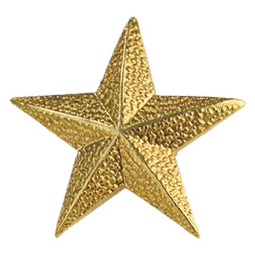 Set of 100 Lapel Pins Gold Star Pins Buy Online in UAE. Office