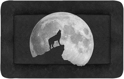 Amazon Com Chawzie Wild Howling Scared Moon Night Wolf Extra
