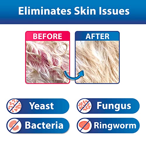 BEXLEY LABS Curaseb Medicated Chlorhexidine Hot Spot Treatment for Dogs & Cats Relieves Skin