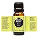 Edens Garden Breathe Easier Essential Oil Synergy Blend, 100% Pure Therapeutic Grade (Undiluted Natural/Homeopathic Aromatherapy Scented Essential Oil Blends) 10 ml