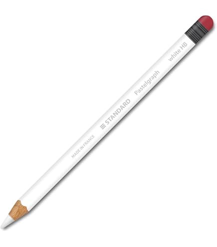 美品Apple Pencil Genuine / Original Apple Pencil 1st Generation(MK0C2AM/A