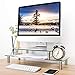 TAVR Dual Computer Glass Monitor Riser Stand with Adjustable Height Multi 2 or 1 Tier Variable Assembling Desktop Organizer for School Supplies Flat Screen TV Laptop/Notebook/Component/Xbox One