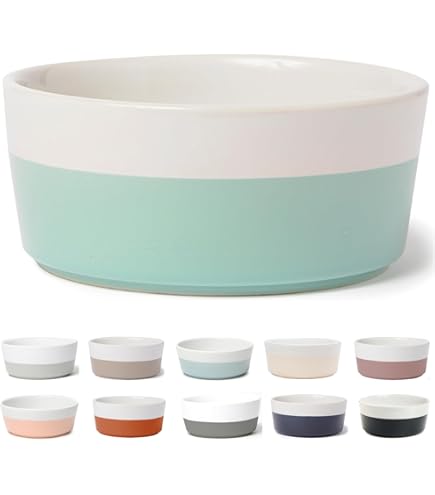 Pet Supplies : Waggo Sketched Wave Ceramic Dog Bowl Blue