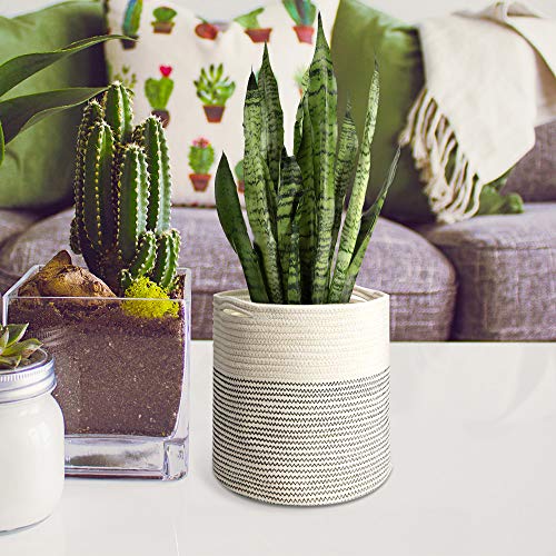 image for LiyuanQ Rope Plant Basket Modern Woven Basket Indoor Planter Up to 10 