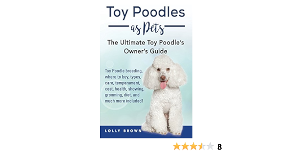 toy poodle sc