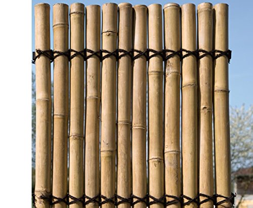 Bambus Sichtschutzzaun Bambuswand starr Apas4 150 x 120cm aus dicken gelblichen Bambusrohren mit 7-9cm Durchmesser – Bild 5