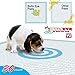 Bullseye No Mess Leak-Proof/Absorbent Target Pet Dog Pee Pads: 2 Pack (60 Count)