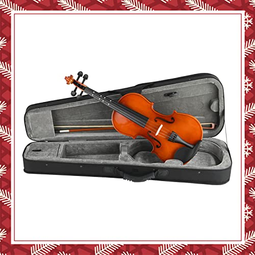 Eastar EVA-1 Full-Size Violin Review