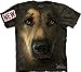 Mountain German Shepherd Portrait Adult Size T-shirt