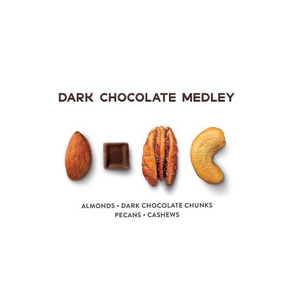 SECOND NATURE DARK CHOCOLATE MEDLEY TRAIL MIX, 12 OZ. RESEALABLE POUCH (PACK OF 1) – CERTIFIED GLUTEN-FREE SNACK MIX – DARK CHOCOLATE AND NUT TRAIL MIX IDEAL FOR QUICK TRAVEL SNACKS OR LUNCH SNACKS