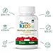 Propolis and Echinacea Gummies By Nutra Kids - Raspberry Flavor - 120 Count - Daily Organic Immunity Support for Kids GLUTEN FREE - VEGAN - KOSHER - HALAL - NON GMO - PROPOLIS SUPPLEMENTS