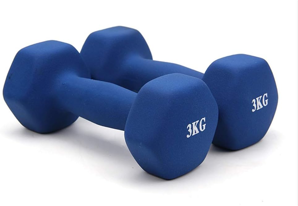 AILI Dumbbell Dumbbells Hex Dumbbell Home Dumbbells for Women and Men, Weights Fitness Home Gym Exercise Barbell Fitness Equipment Dumbbell Dumbbells Exercise & Fitness