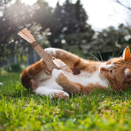 Catnip Toys,3 Pack Silvervine for Cats,Kitten Teething Toys for Aggressive chewers Interactive Kitty Toys Suitable for All Ages, Breeds