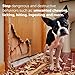 Fooey! Ultra Bitter No Chew Spray for Dogs, Cats, Horses, Rabbits, Ferrets, Birds - Anti-Chew Bitter Spray for Dogs Stop Chewing Furniture - Dog Deterrent Spray Training Aid Safe for Pets - 8 fl oz