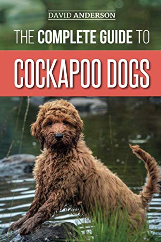 The Complete Guide to Cockapoo Dogs: Everything You Need to Know to Successfully Raise, Train, and L by David Anderson
