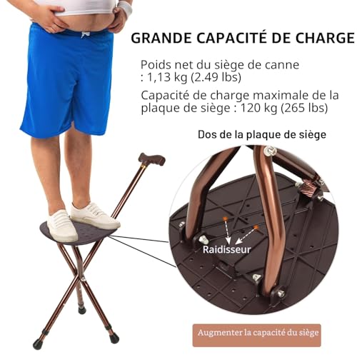 LINGTHIN Seat cane for men with a capacity of 120 kg, height adjustable folding seat canes, walking stick and stools for adults, elderly and recovery.