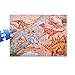 Acefun Dinosaurs Floor Puzzles, Prehistoric Dinosaurs Jumbo Jigsaw Floor Puzzle (88 pcs, 2 Puzzles)