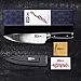VIPON Professional Chef 8 inch High Carbon Stainless Steel Kitchen Knife-Razor Sharp Durable Blade&Ergonomic Pakka Wood Handle-Guard Included