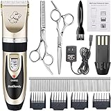 BestTrendy Professional Cat Dog Clippers, Low Noise Rechargeable Cordless Electric Pet Grooming Kit Tool Hair Trimmer Razor Blades with Combs, Scissor (Gold+Black)